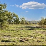Terrain constructible de 705 m² à Nègrepelisse, proche Montauban, dans un environnement paisible