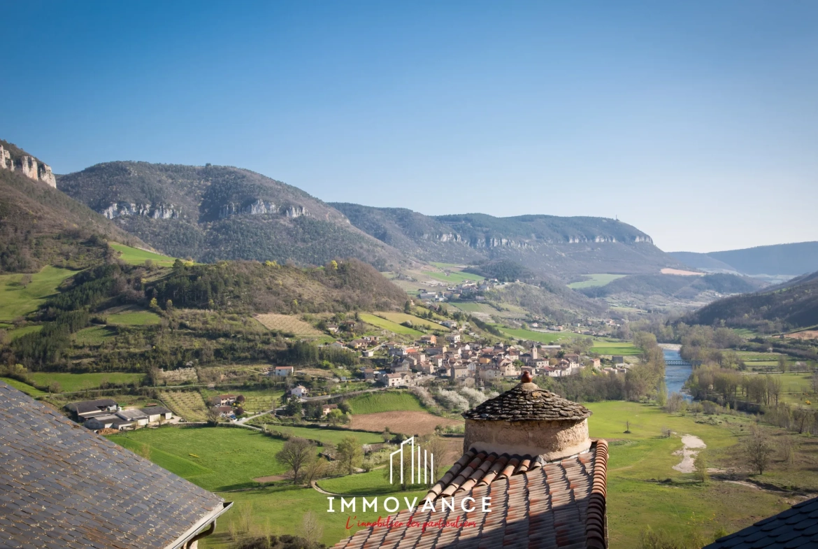 Belle maison en pierre avec duplex et T1, vue panoramique sur la vallée du Tarn à Compeyre 