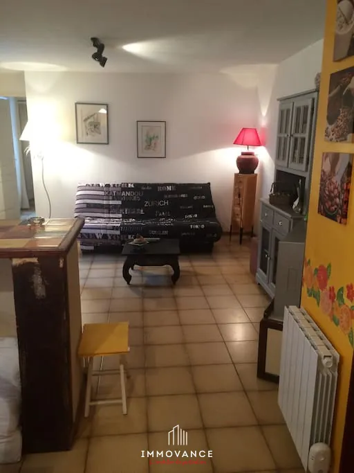 Belle maison en pierre avec duplex et T1, vue panoramique sur la vallée du Tarn à Compeyre 
