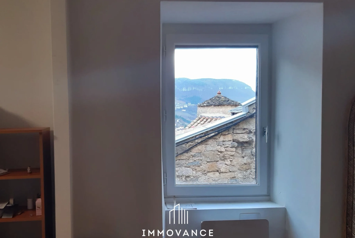 Belle maison en pierre avec duplex et T1, vue panoramique sur la vallée du Tarn à Compeyre 