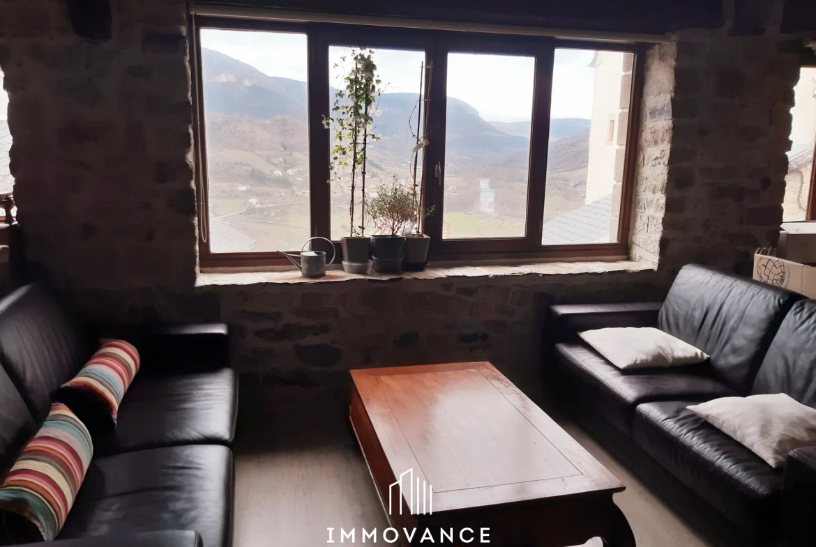Belle maison en pierre avec duplex et T1, vue panoramique sur la vallée du Tarn à Compeyre 