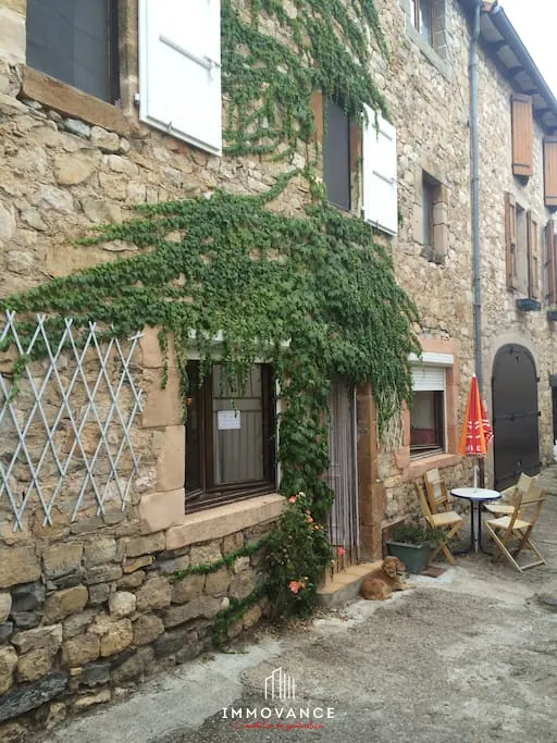 Belle maison en pierre avec duplex et T1, vue panoramique sur la vallée du Tarn à Compeyre 