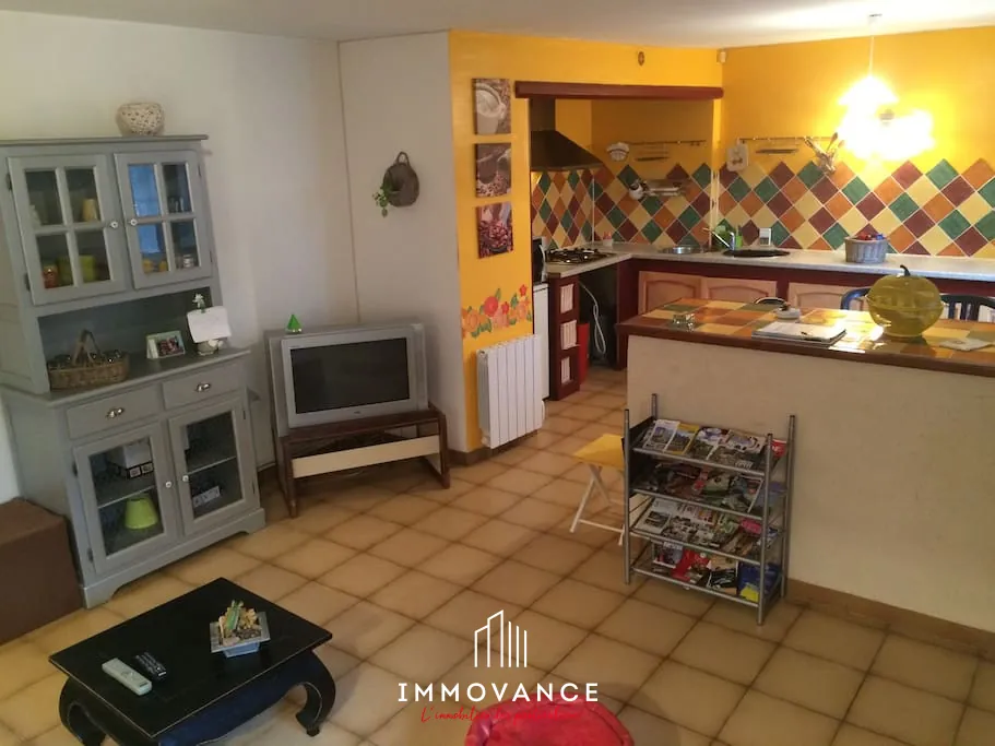 Belle maison en pierre avec duplex et T1, vue panoramique sur la vallée du Tarn à Compeyre 