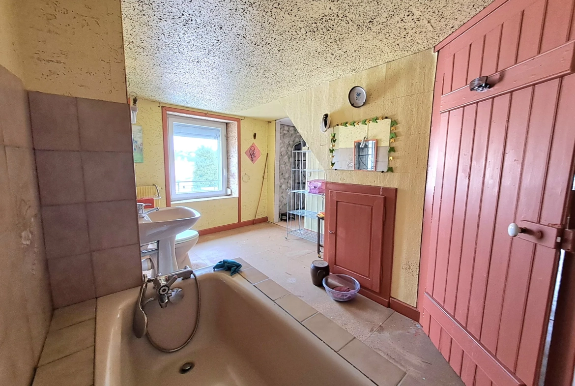 Maison de maître à Vézelise avec gros potentiel et espace professionnel 