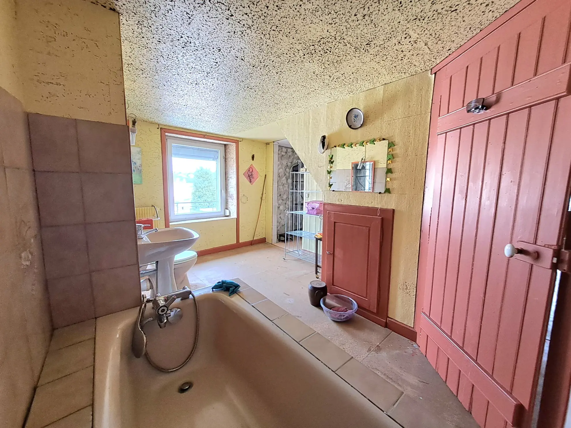 Maison de maître à Vézelise avec gros potentiel et espace professionnel 