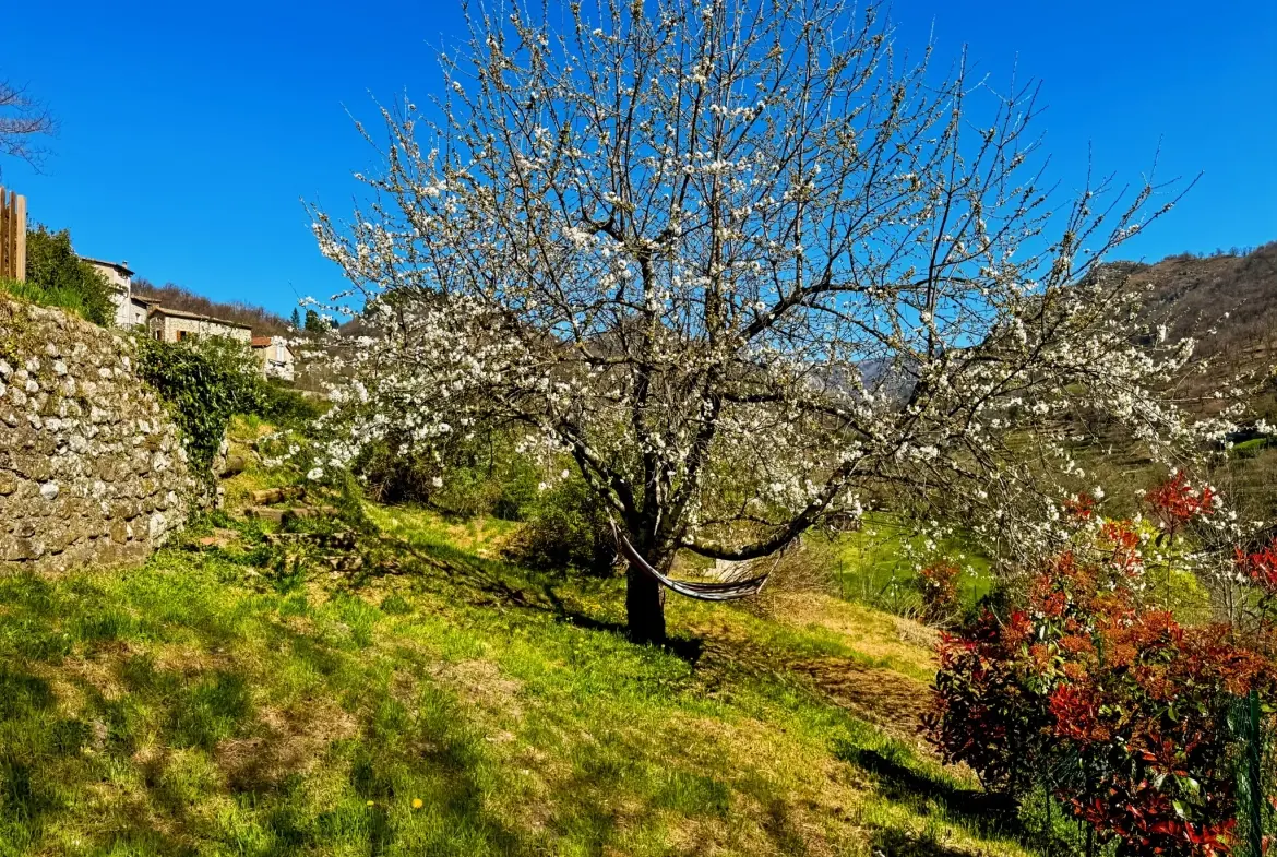 Maison atypique avec terrasse et vue montagne à Antraigues-sur-Volane 