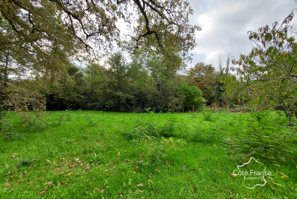 Terrain constructible et calme à Louchats - Vue nature et tranquillité 