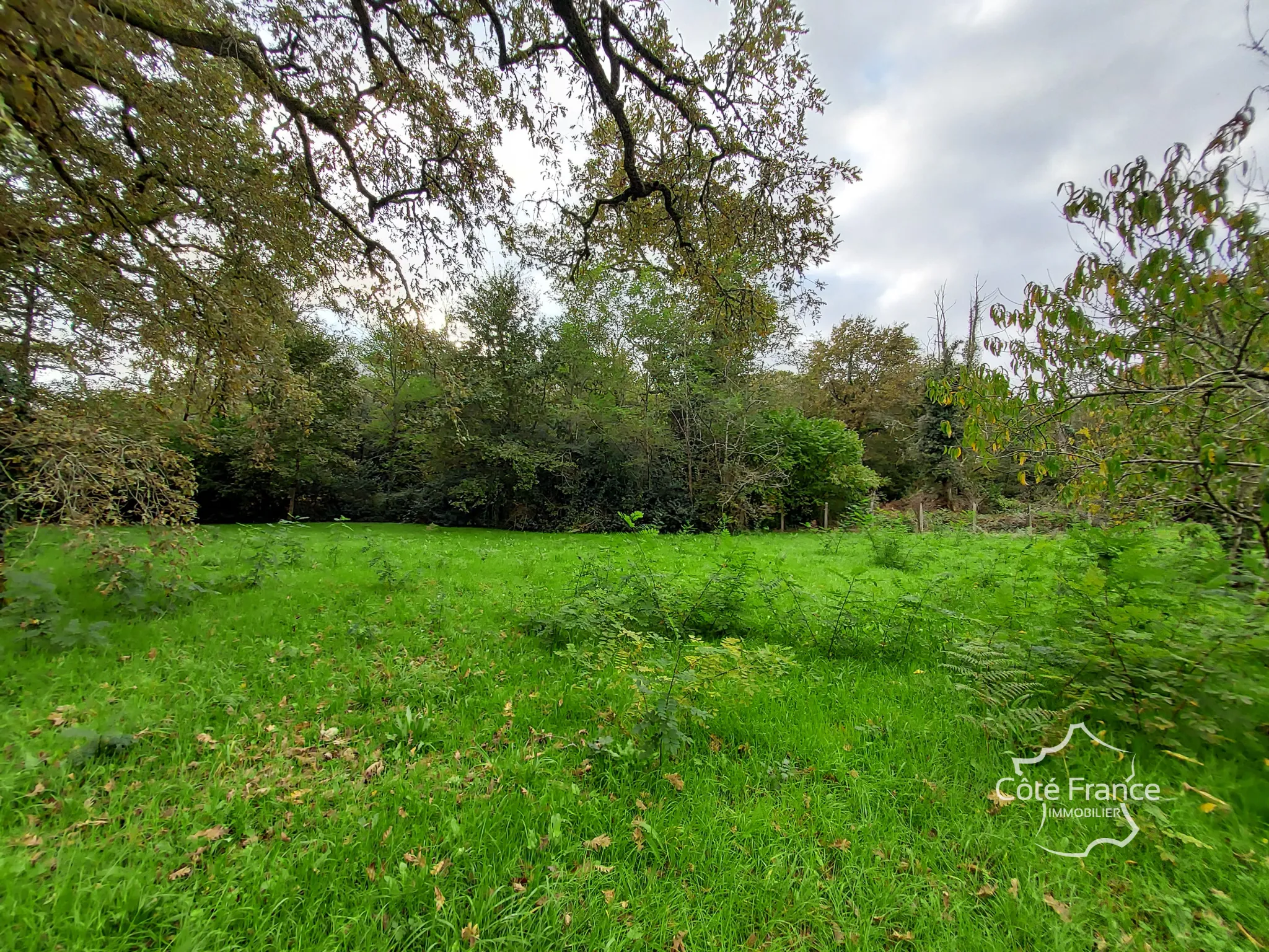 Terrain constructible et calme à Louchats - Vue nature et tranquillité 