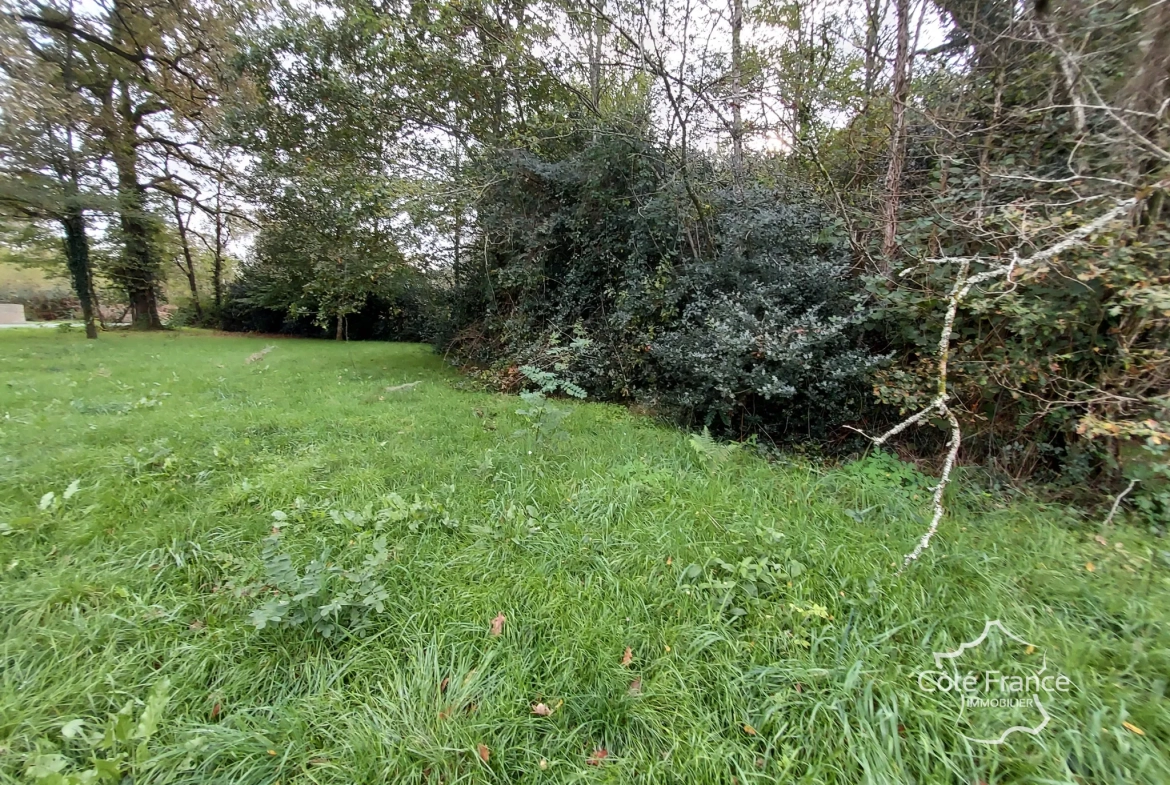 Terrain constructible et calme à Louchats - Vue nature et tranquillité 