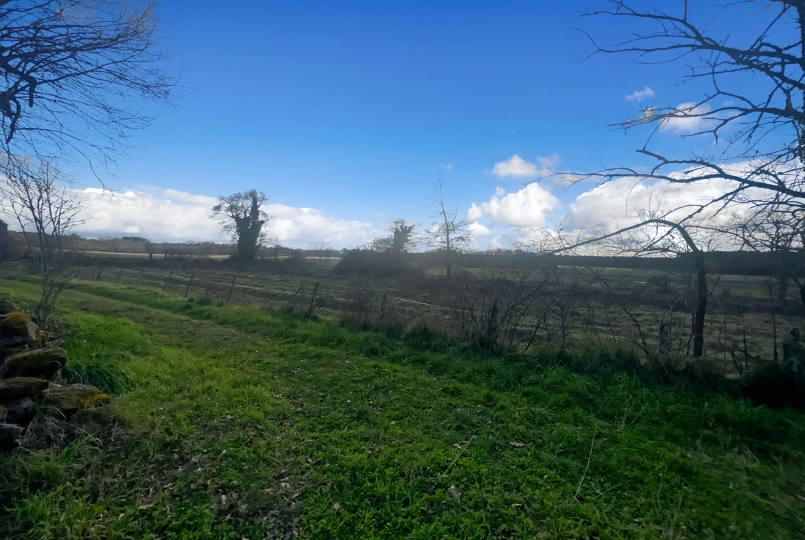 Maison 5 pièces à Noaillan, environnement calme et vue magnifique en Gironde 
