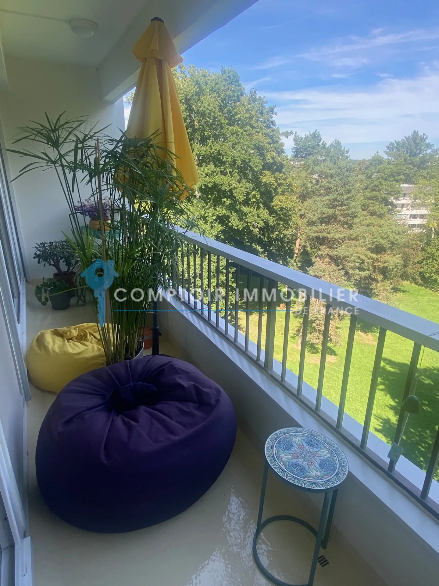 Appartement T2 à Brunoy avec vue sur parc et balcon, proche RER 