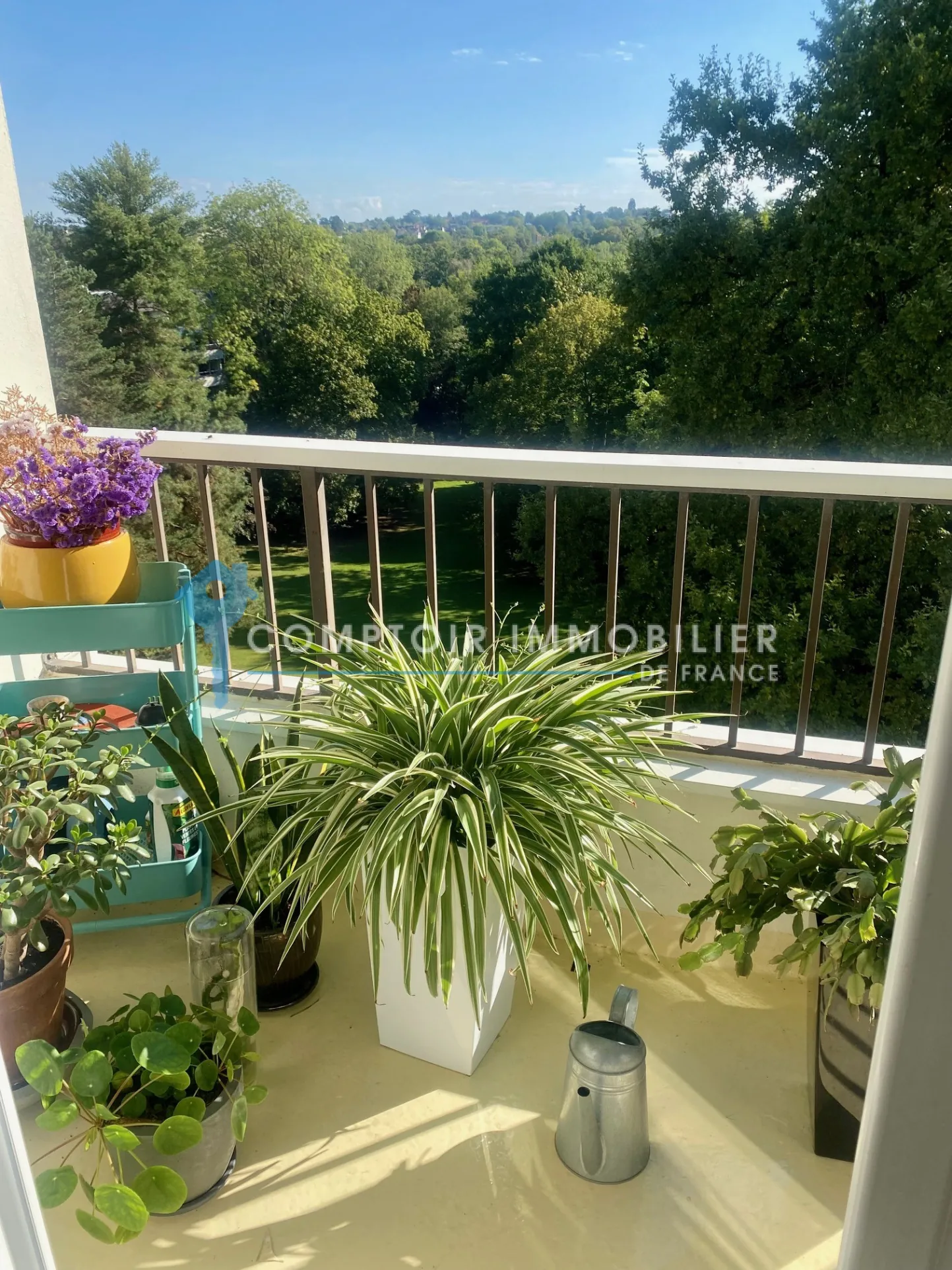 Appartement T2 à Brunoy avec vue sur parc et balcon, proche RER 