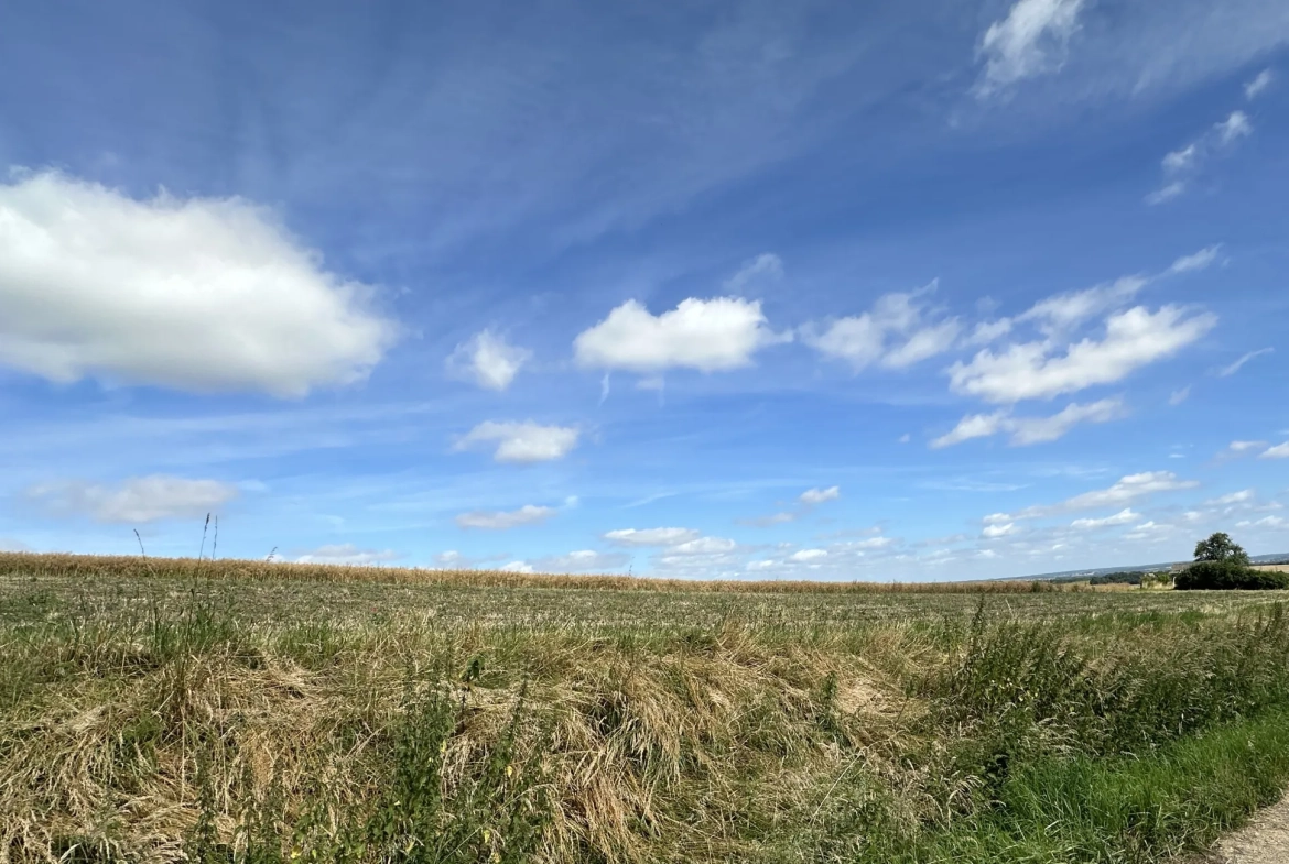 Terrain constructible à Bertoncourt avec vue panoramique et zone naturelle attenante 