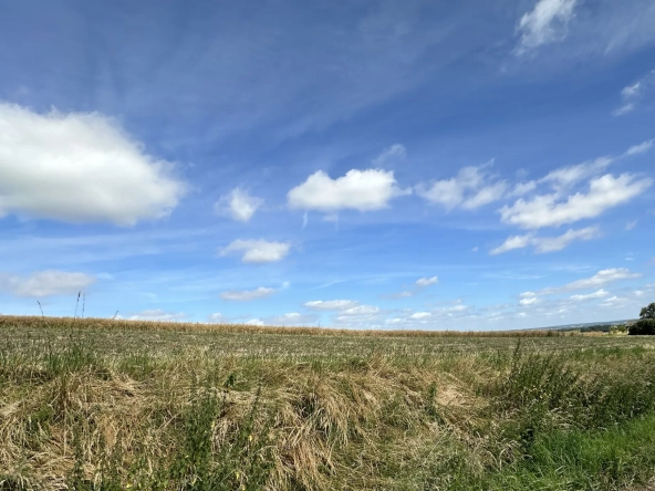 Terrain constructible à Bertoncourt avec vue panoramique et zone naturelle attenante