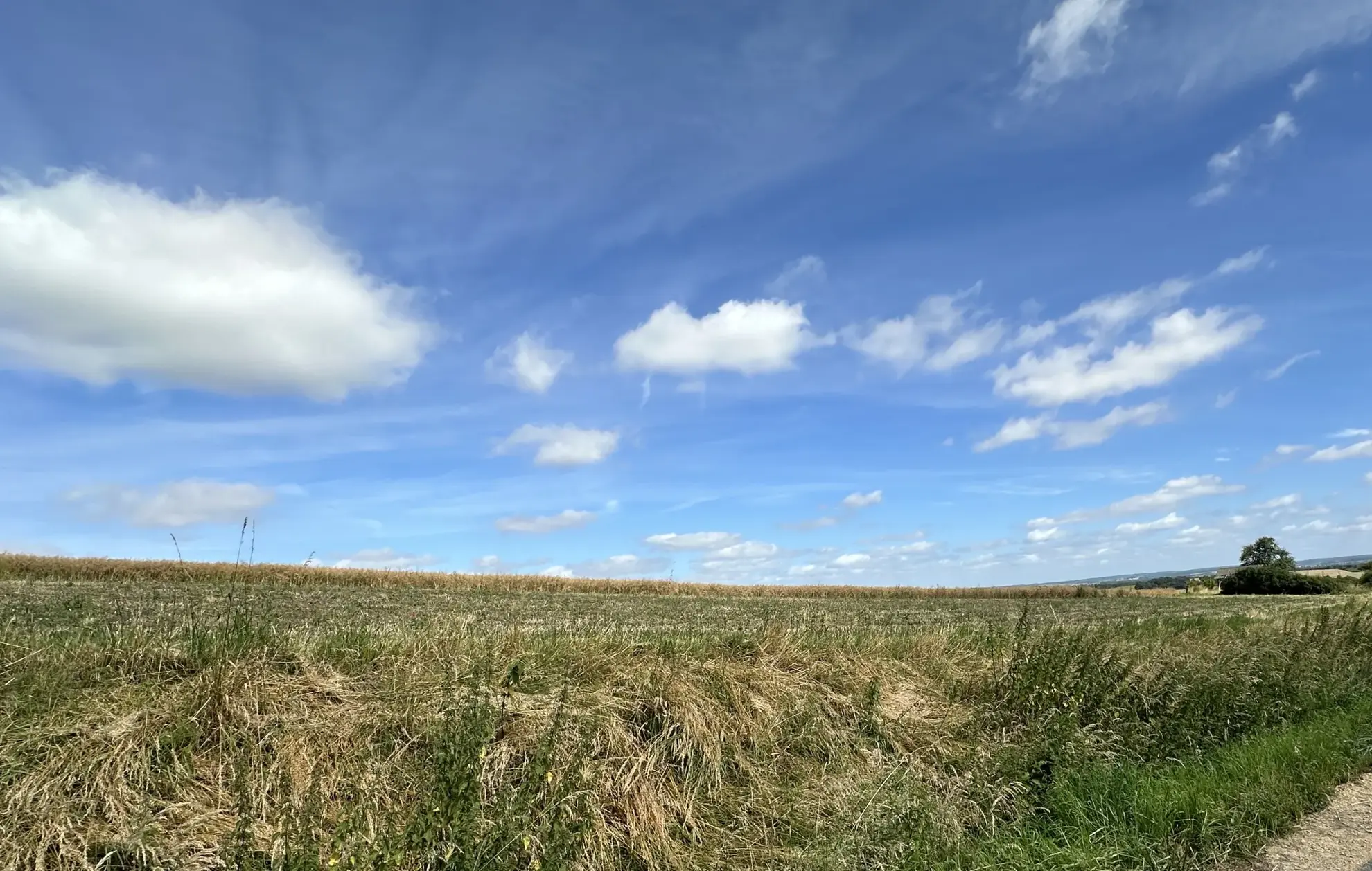 Terrain constructible à Bertoncourt avec vue panoramique et zone naturelle attenante 