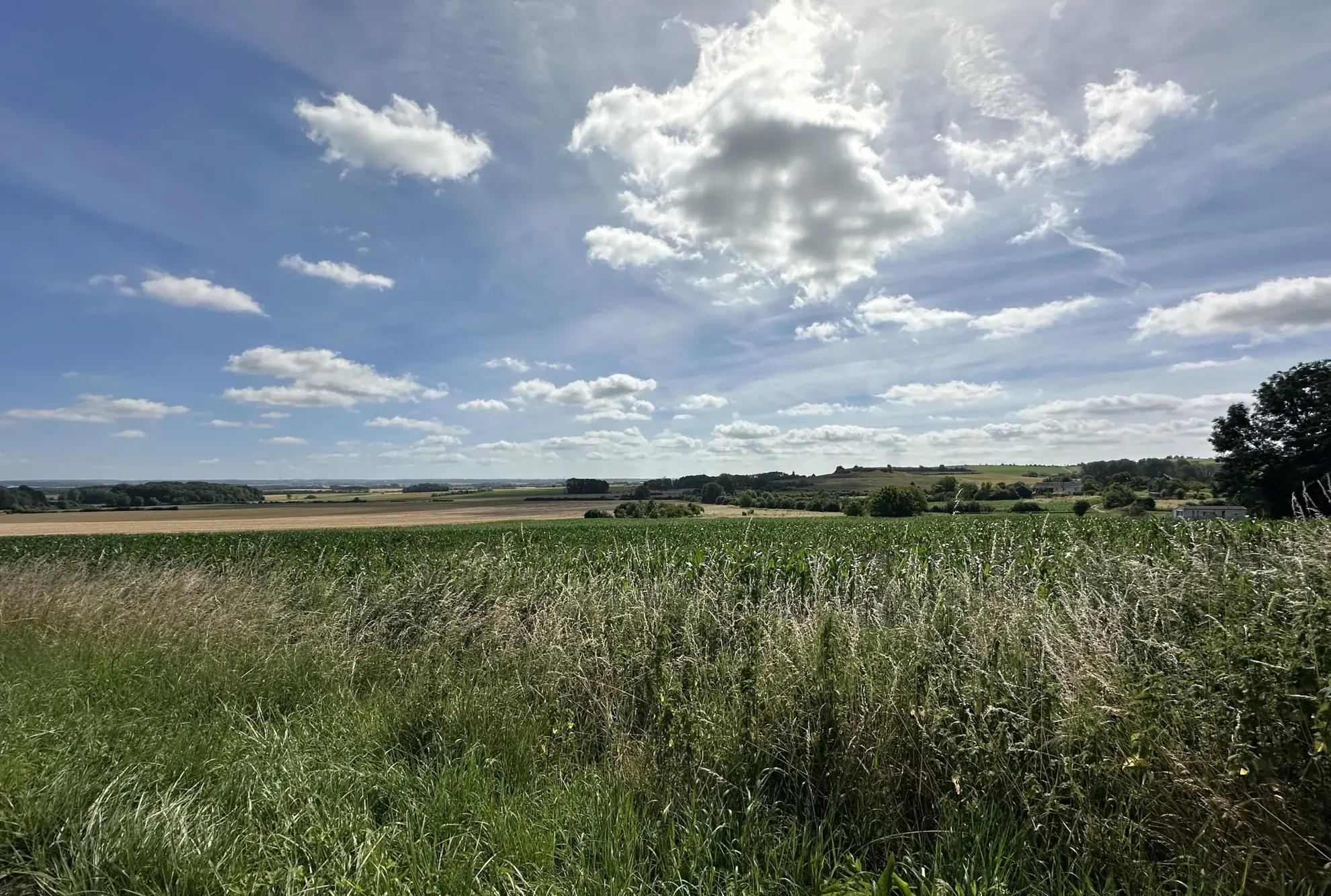Terrain constructible à Bertoncourt avec vue panoramique et zone naturelle attenante 