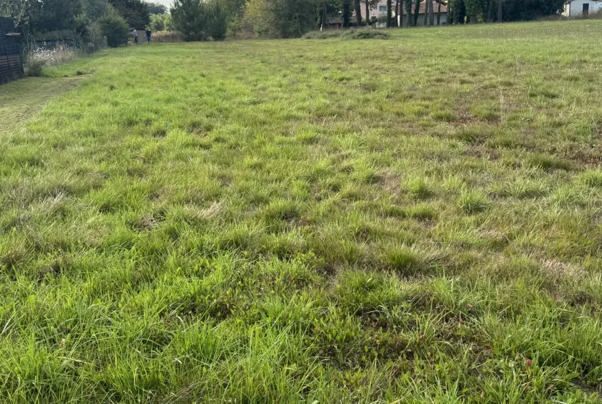 Terrain constructible de 2014 m2 à Bazas - Environnement calme et accessible 