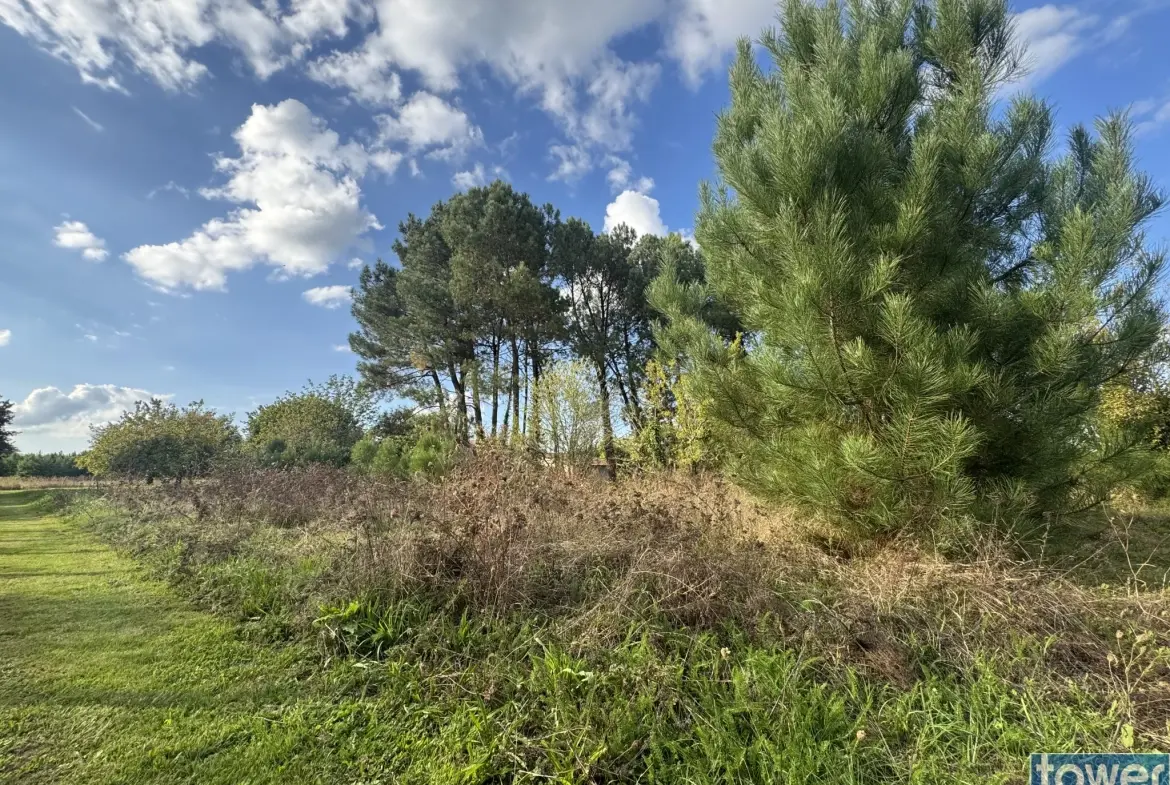 Terrain constructible de 2014 m2 à Bazas - Environnement calme et accessible 