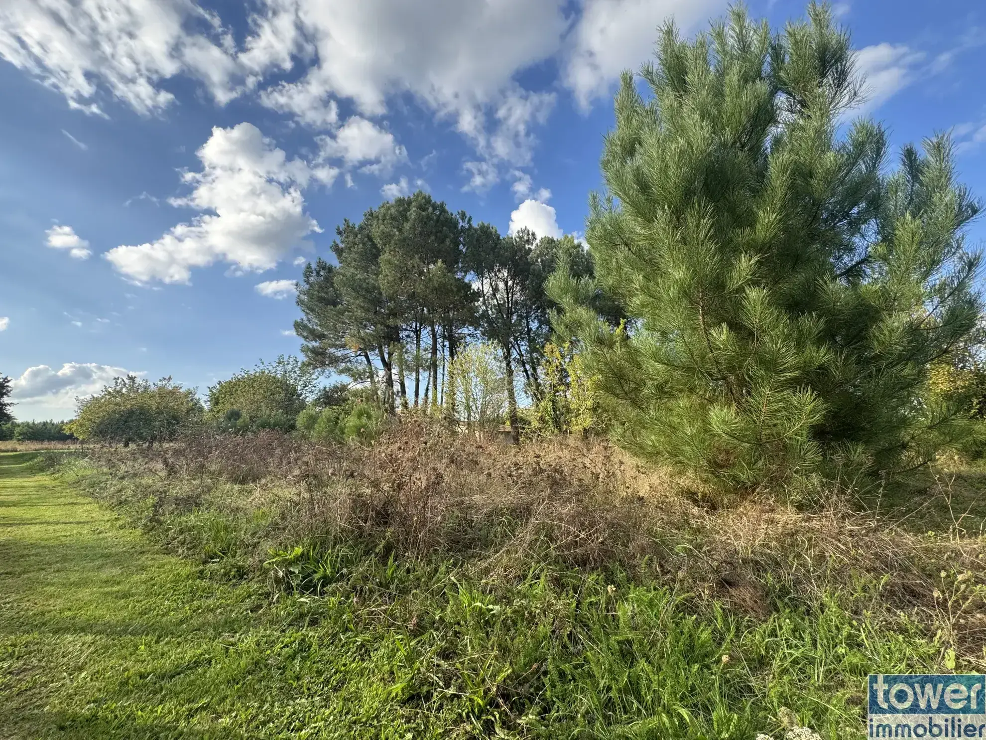 Terrain constructible de 2014 m2 à Bazas - Environnement calme et accessible 