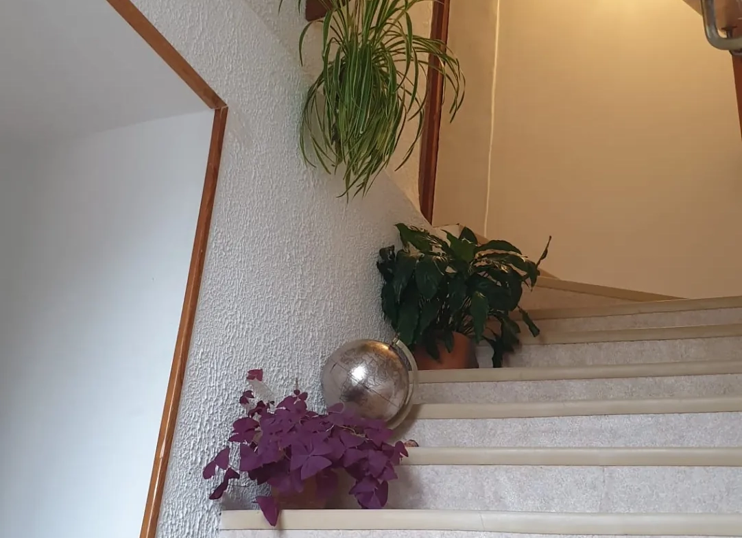 Maison de 118 m² avec jardin et potentiel professionnel à La Roche-en-Brenil 
