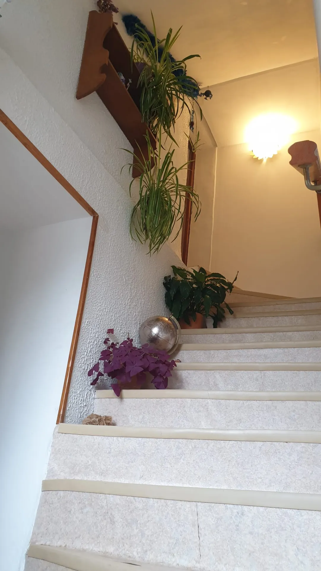 Maison de 118 m² avec jardin et potentiel professionnel à La Roche-en-Brenil 