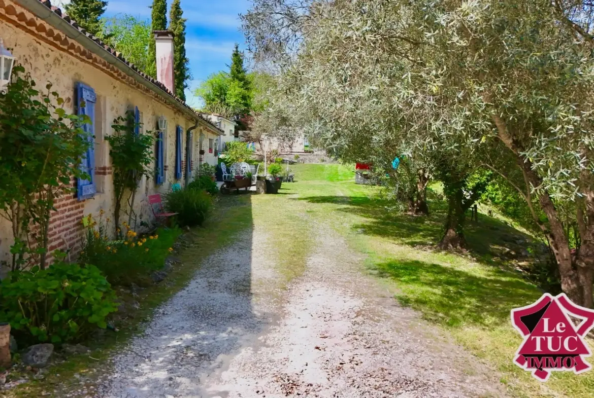 Belle maison rénovée avec vue sur la vallée, piscine et potentiel locatif à Penne d’Agenais 