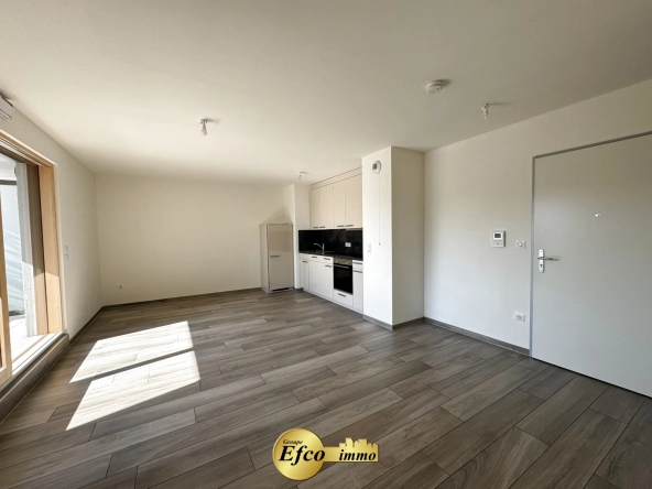 Appartement T3 récent avec terrasse et parking à Saint-Louis 