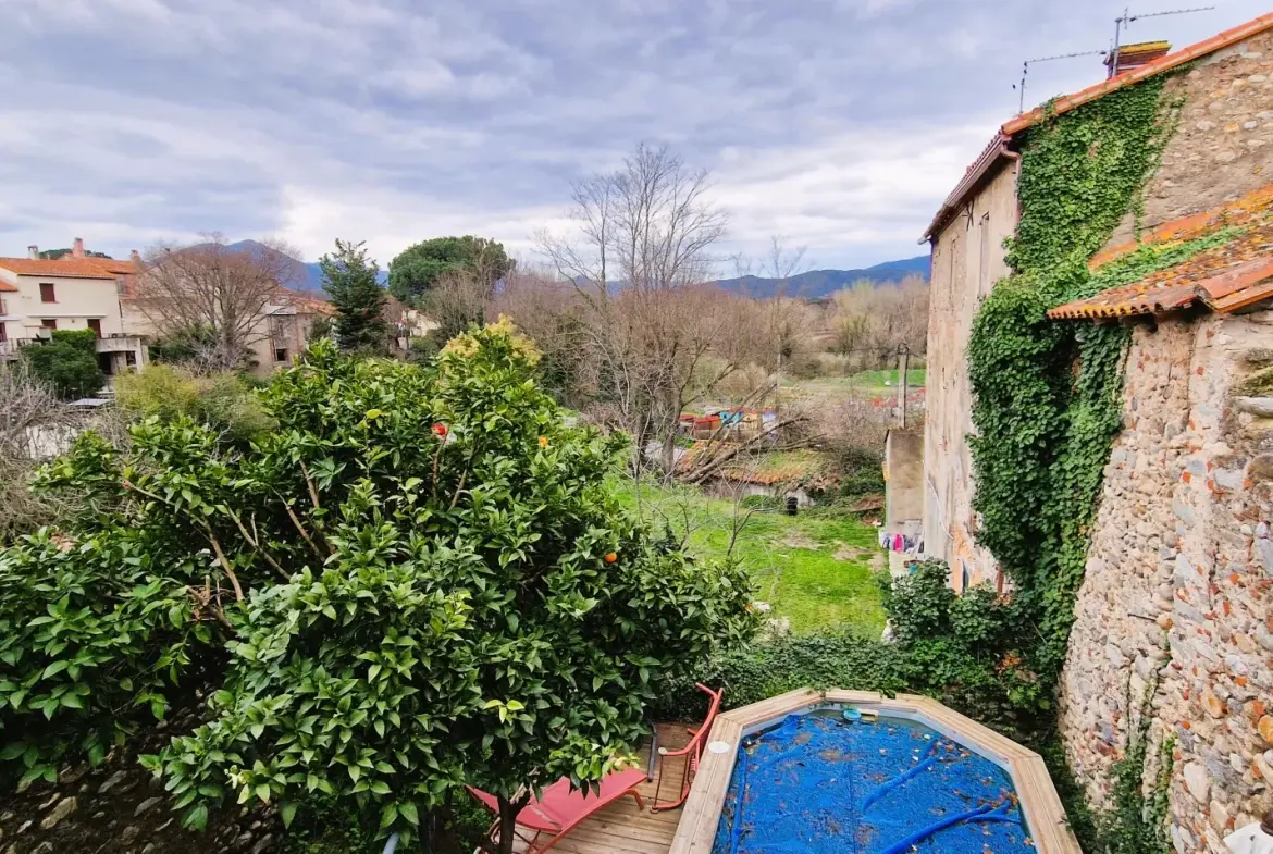 Belle maison avec piscine, jardin et vue à Saint-Jean-Pla-de-Corts 