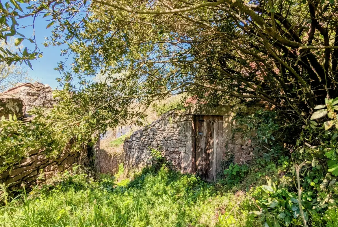 Maison de village à Camarés avec jardin et vue sur la rivière 
