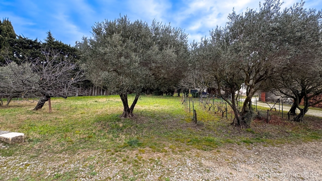 Terrain constructible de 1070 m² à Piolenc, quartier recherché, proximité écoles et commerces