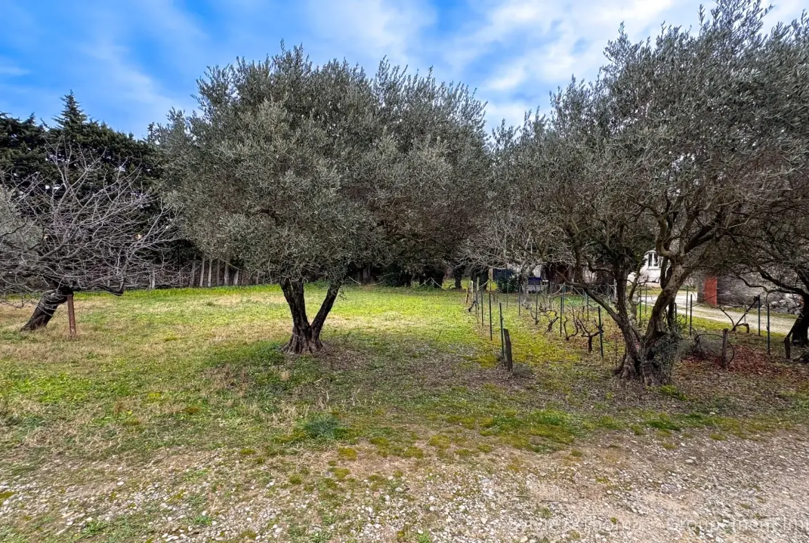 Terrain constructible de 1070 m² à Piolenc, quartier recherché, proximité écoles et commerces 
