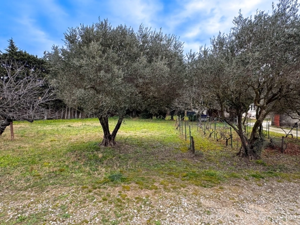Terrain constructible de 1070 m² à Piolenc, quartier recherché, proximité écoles et commerces