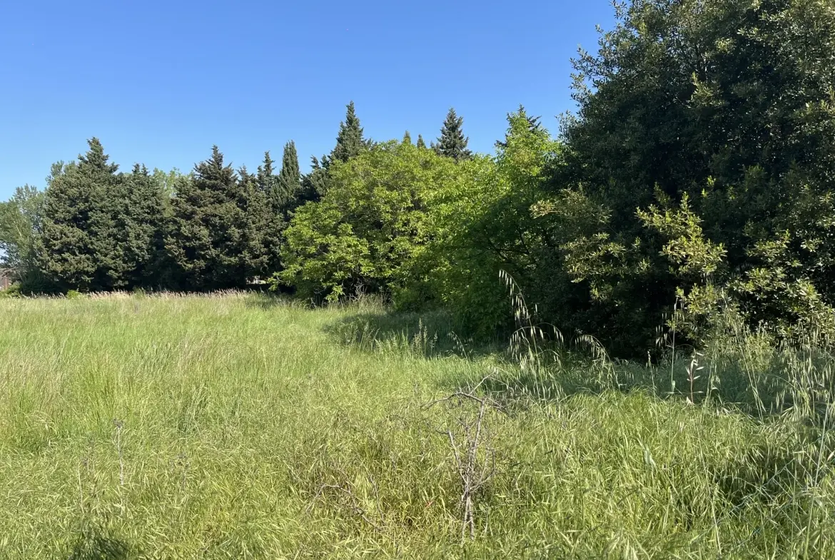 Terrain constructible viabilisé à Courthezon de 386 m² - Projet résidentiel 