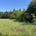 Terrain constructible viabilisé à Courthezon de 386 m² - Projet résidentiel