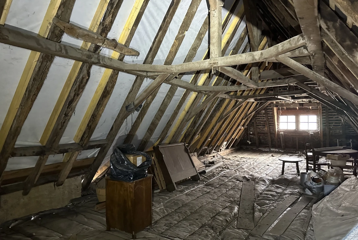 Maison avec local commercial et potentiel d'aménagement à Lasseube 