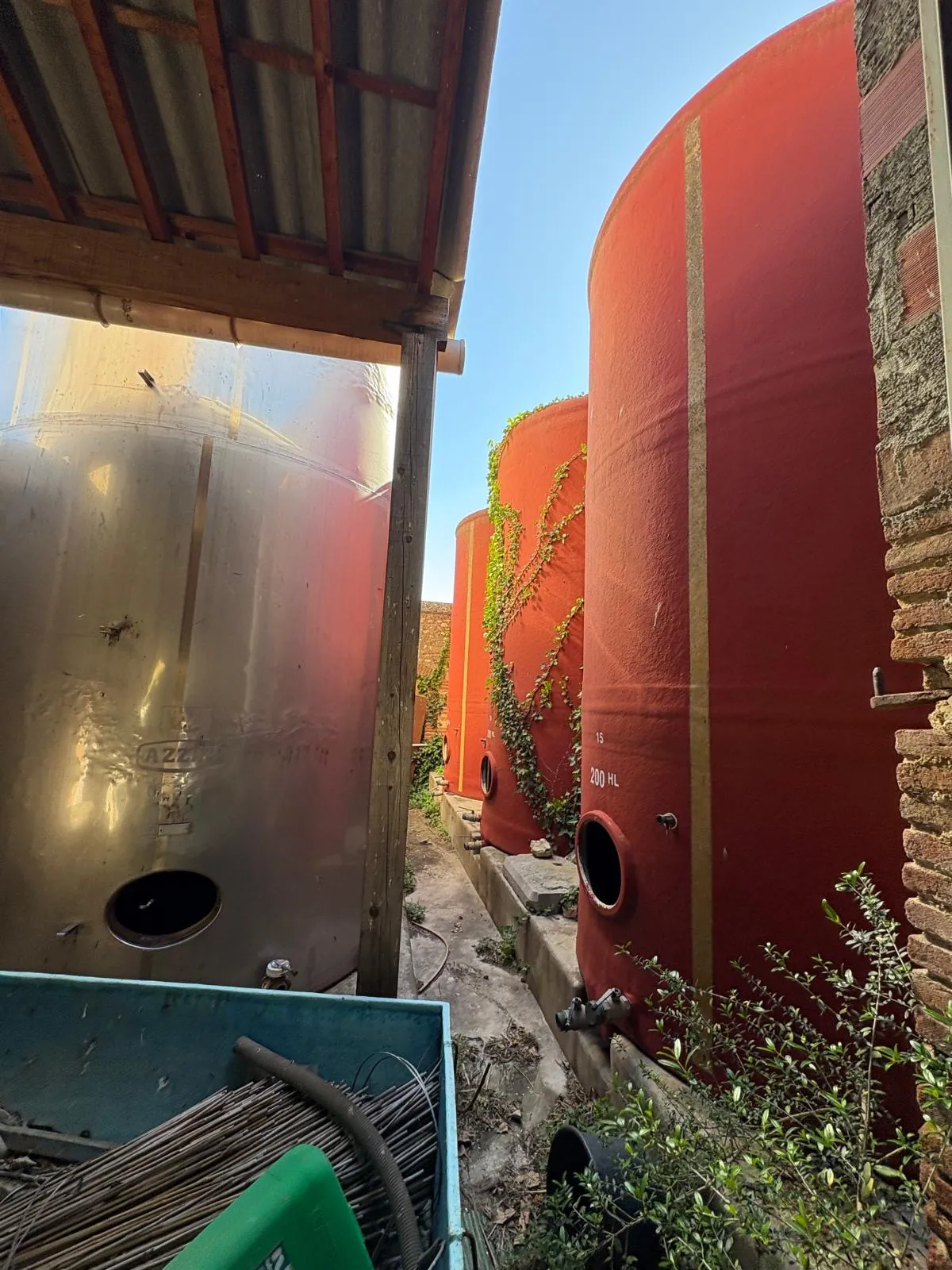 Projet de rénovation d'une cave de 500m² à Saint Jean-Lasseille avec grand potentiel 