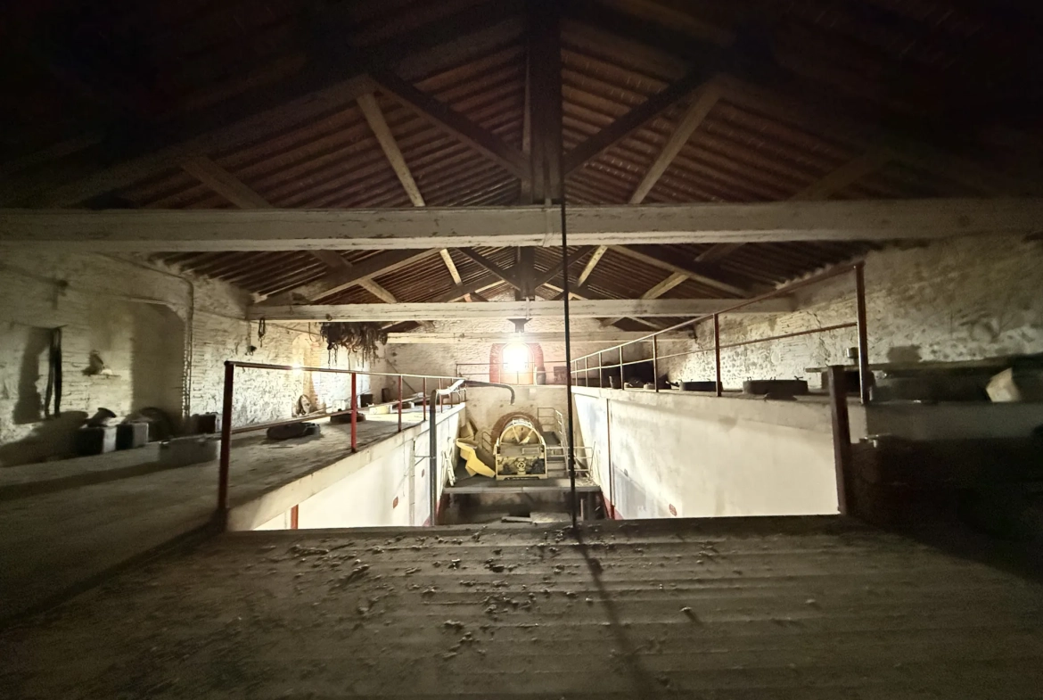 Projet de rénovation d'une cave de 500m² à Saint Jean-Lasseille avec grand potentiel 