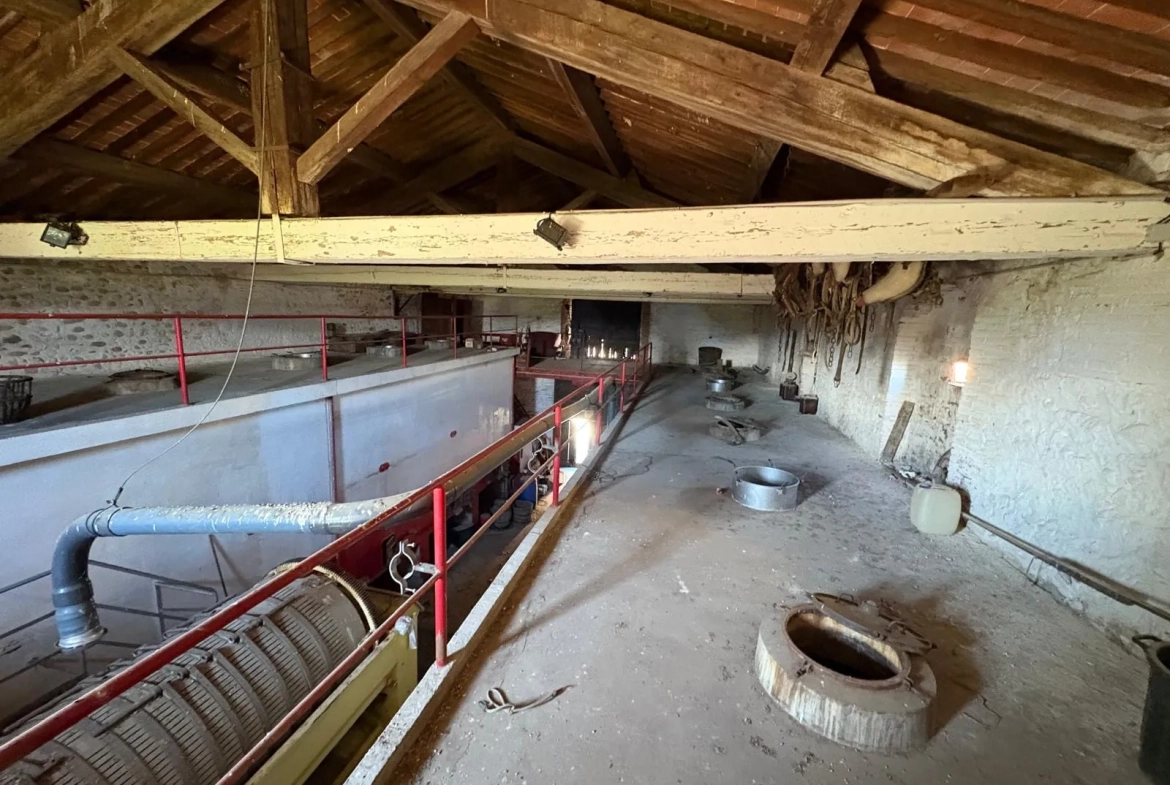 Projet de rénovation d'une cave de 500m² à Saint Jean-Lasseille avec grand potentiel 