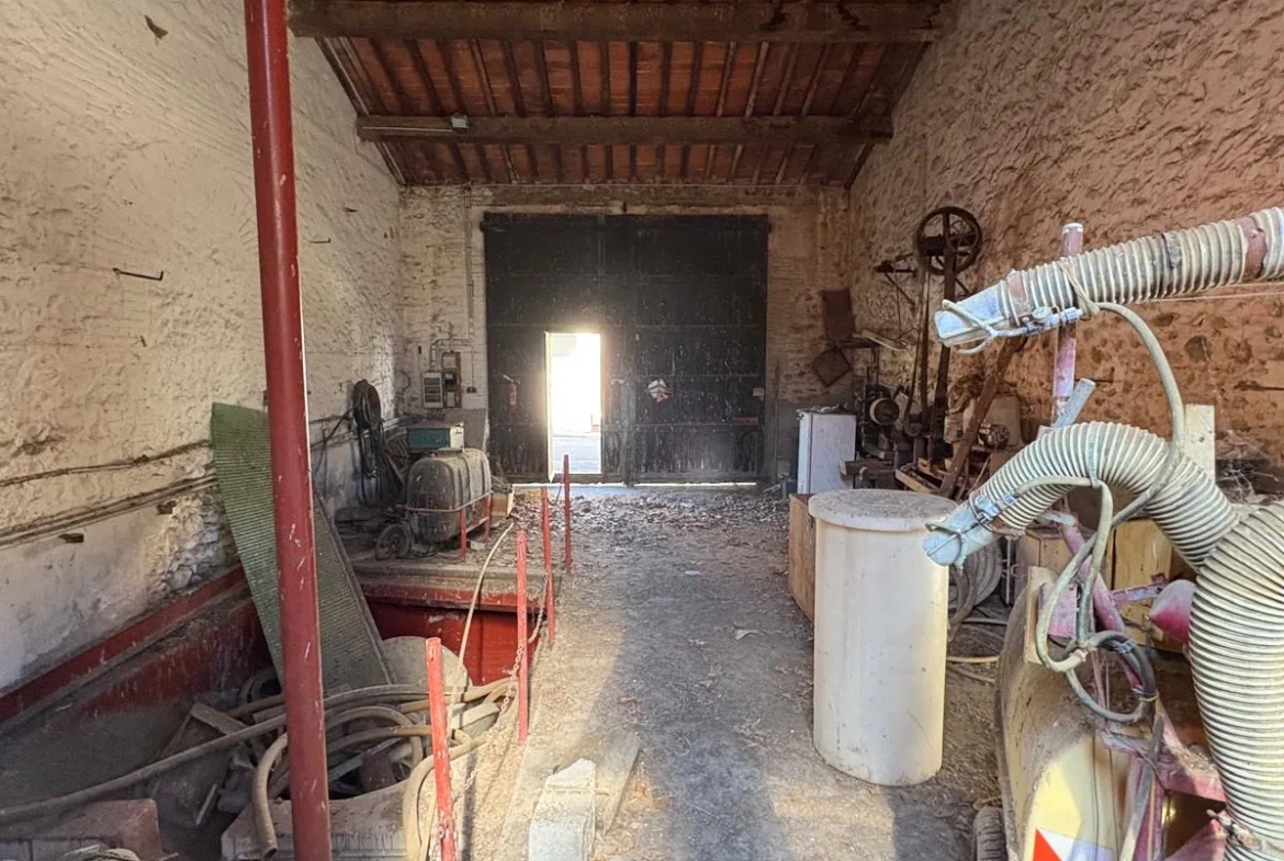 Projet de rénovation d'une cave de 500m² à Saint Jean-Lasseille avec grand potentiel 