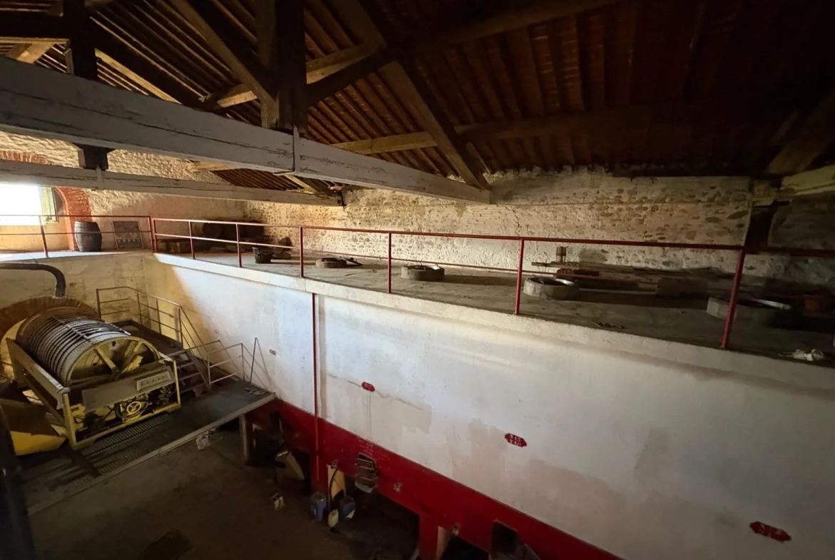 Projet de rénovation d'une cave de 500m² à Saint Jean-Lasseille avec grand potentiel 