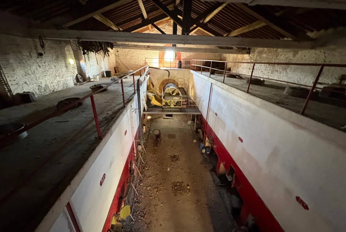 Projet de rénovation d'une cave de 500m² à Saint Jean-Lasseille avec grand potentiel 