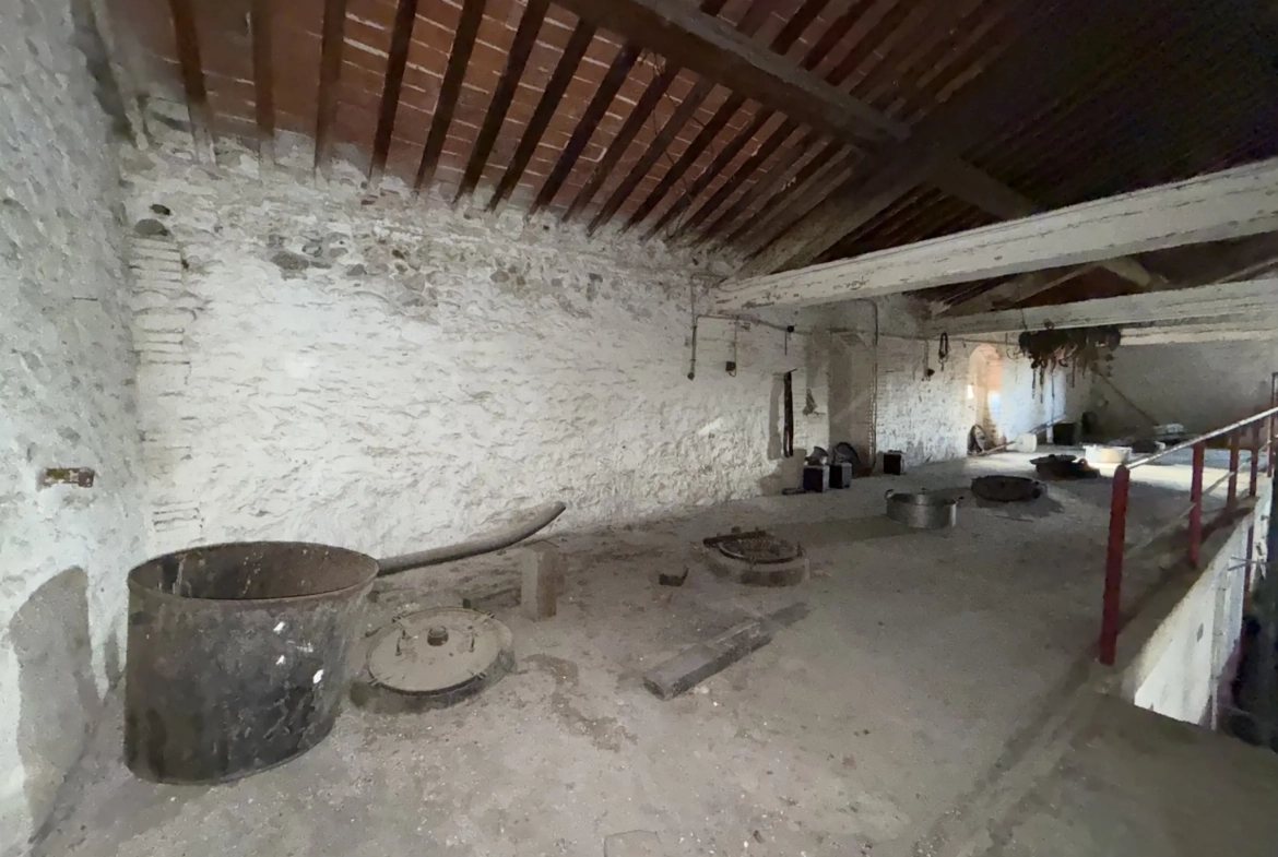 Projet de rénovation d'une cave de 500m² à Saint Jean-Lasseille avec grand potentiel 