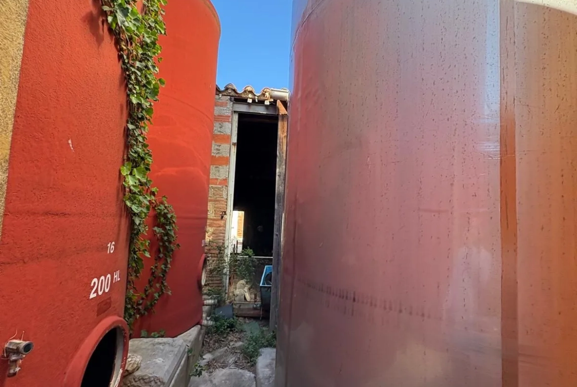 Projet de rénovation d'une cave de 500m² à Saint Jean-Lasseille avec grand potentiel 