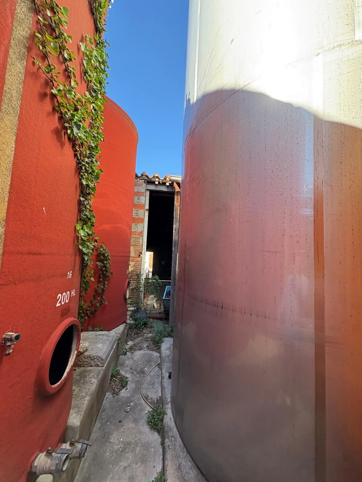 Projet de rénovation d'une cave de 500m² à Saint Jean-Lasseille avec grand potentiel 