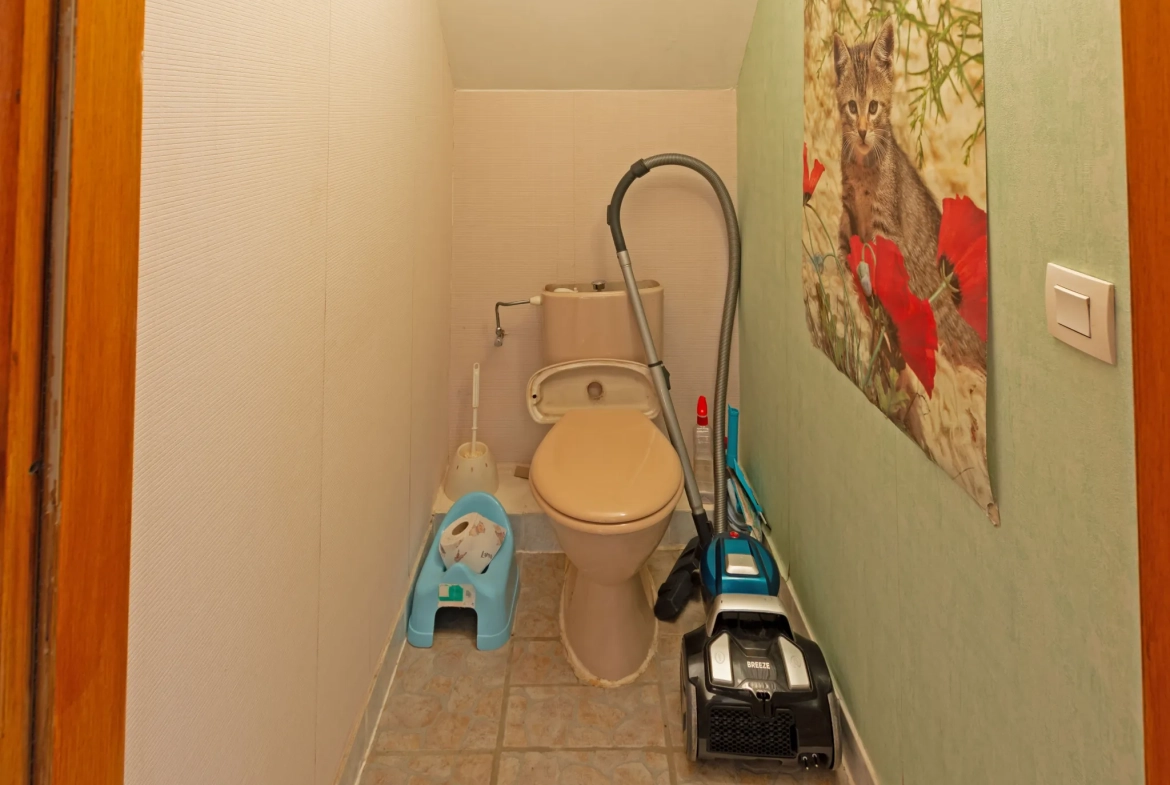 Maison 5 pièces à vendre à Betschdorf, idéale pour famille, avec terrasse et garage 