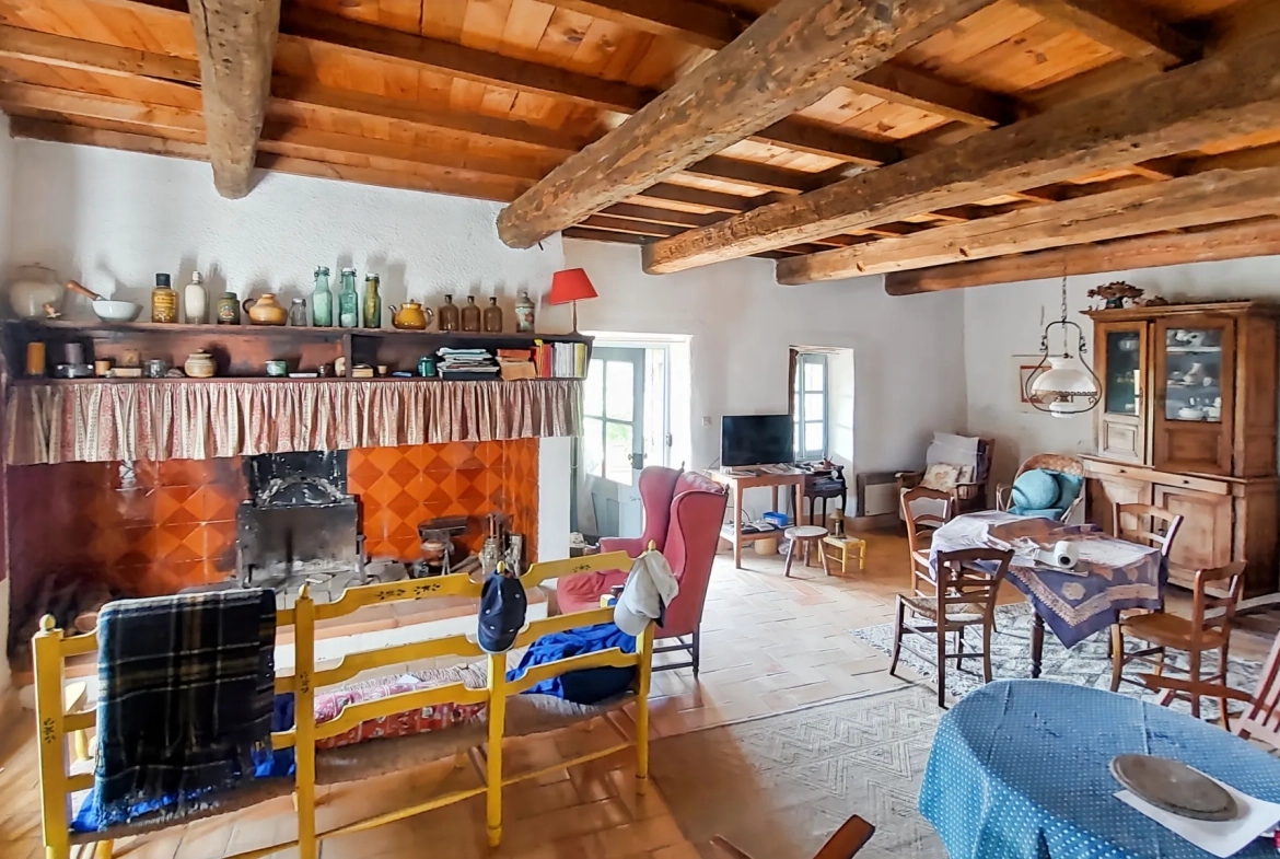 Superbe maison ancienne à vendre à 10 minutes d'Uzès avec terrain et annexe 