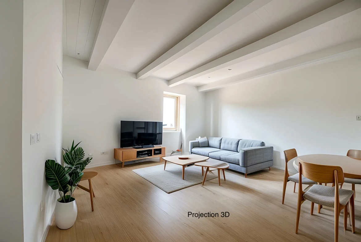 Appartement 2 pièces à Millau avec pièce annexe de 24 m² - bright et calme 