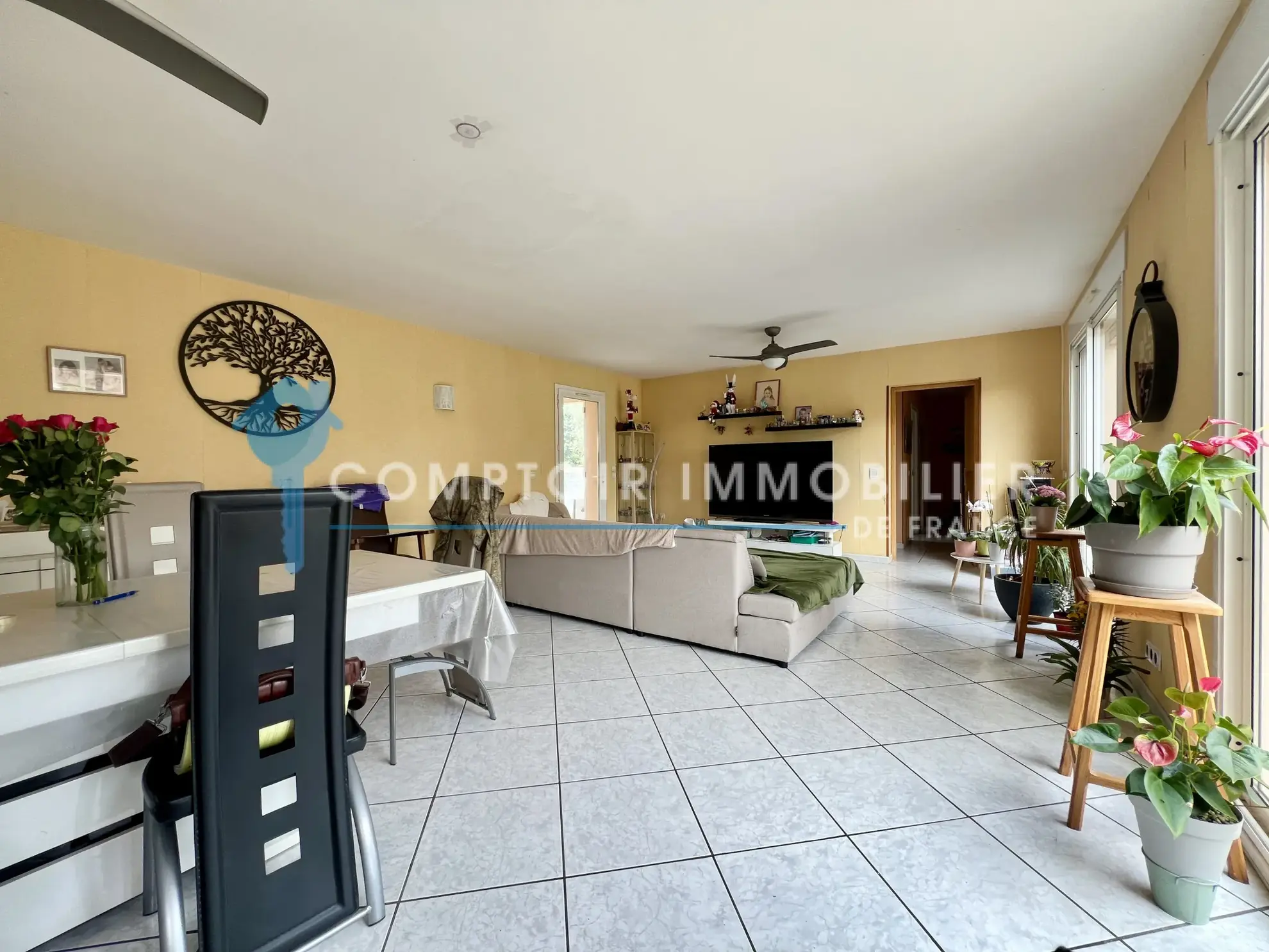 Maison de plain-pied à Saint Paul Cap de Joux avec 3 chambres et grand terrain de 1607 m² 