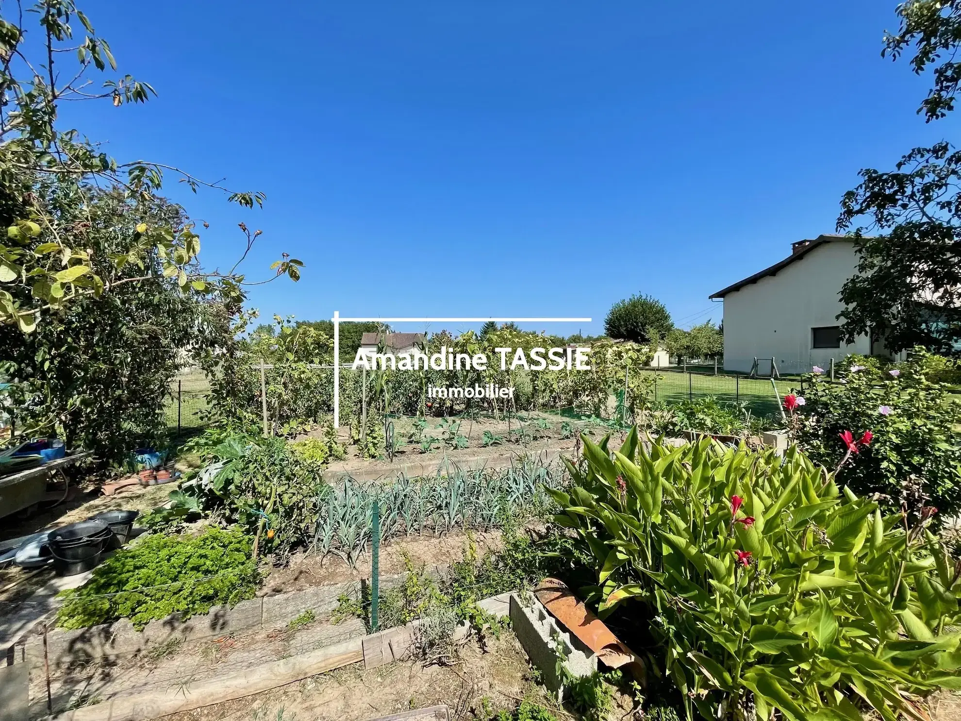 Maison individuelle lumineuse à Graulhet avec terrain constructible de 3450 m² 