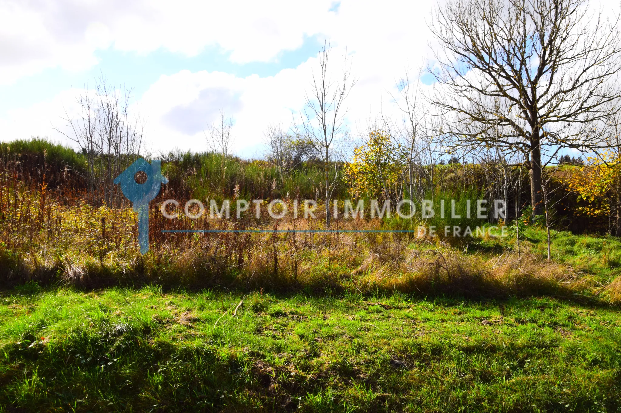 Terrain constructible de 900 m² à Coucouron en Ardèche à vendre 